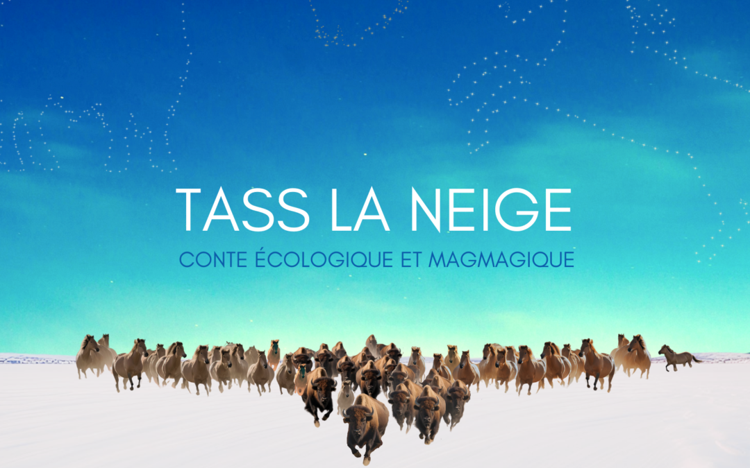 TASS LA NEIGE