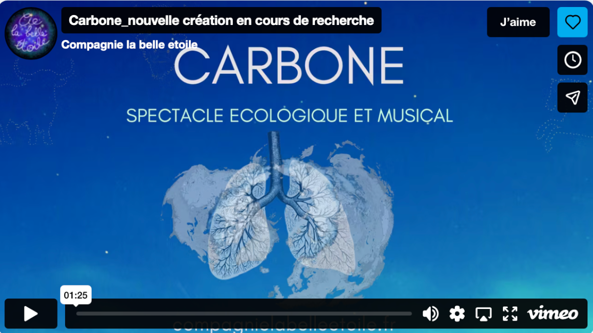 lien video carbone