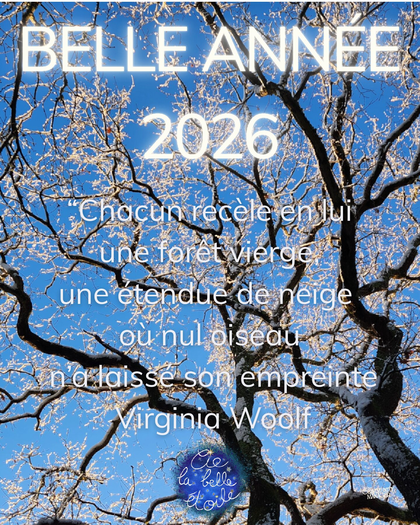 Bonne année 2026